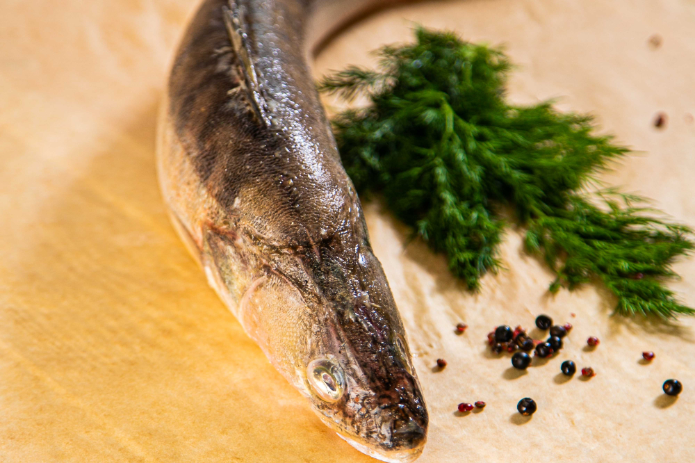 Готовим рыбу и морепродукты для детей: рецепты и лайфхаки